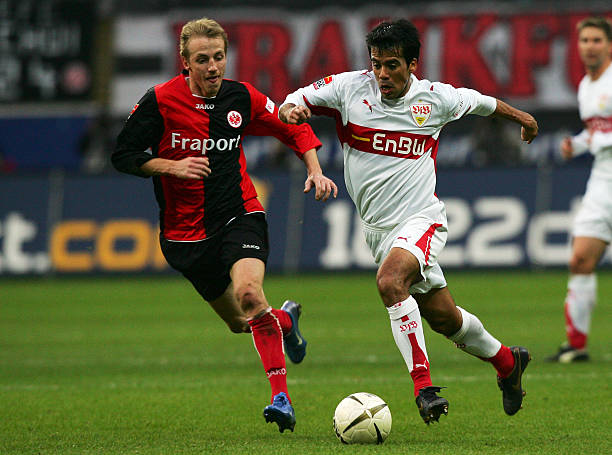 但凭借顽强 但凭借顽强